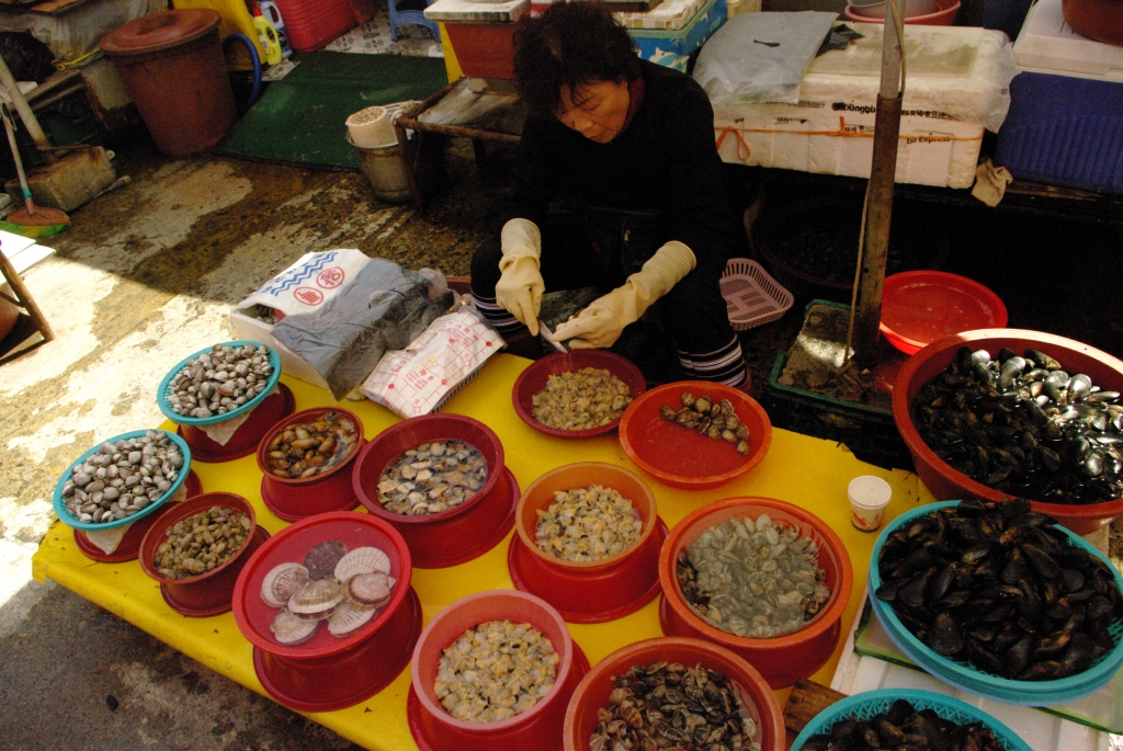 Рыбный рынок в Пусане. Далеко не все морепродукты