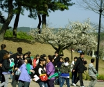 В музеях Кореи всегда много детей. Группа школьников в Национальном