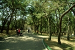 D парк Тхумули в Кёнджу.