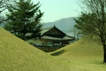В Кёнджу много древних захоронений. Эти холмы меняют, разнообразят ландшафт.